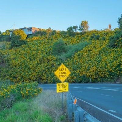 托马斯环游世界